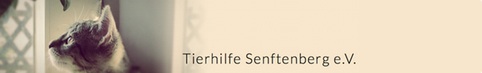 Der TSV "Senftenberger Tierhilfe" e.V hat es sich zum Ziel gesetzt, in seinem Territorium vor allem die unkontrollierte Katzenpopulation einzudämmen, freilebende Katzen gesund zu erhalten, herrenlose Tiere zu vermitteln sowie gegen Tierquälerei konsequent vorzugehen und somit Tierleid zu mindern.
Der TSV "Senftenberger Tierhilfe" e.V hat es sich zum Ziel gesetzt, in seinem Territorium vor allem die unkontrollierte Katzenpopulation einzudämmen, freilebende Katzen gesund zu erhalten, herrenlose Tiere zu vermitteln sowie gegen Tierquälerei konsequent vorzugehen und somit Tierleid zu mindern.